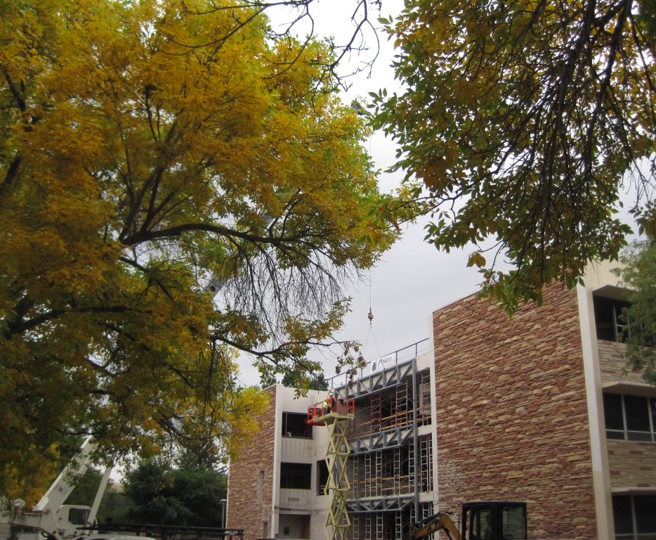 The leaves turn color as renovations on Eddy Hall continue