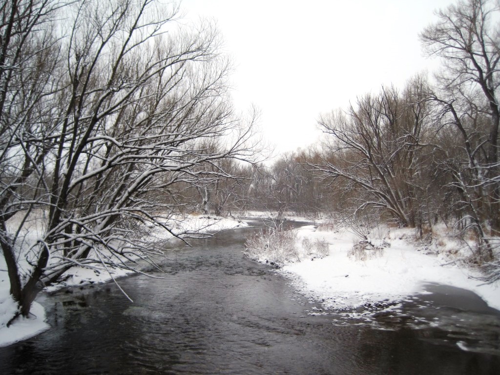 Poudre River, image by Jill Salahub