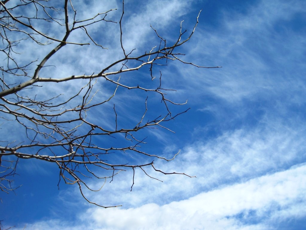 The sky over Ingersoll, image by Jill Salahub