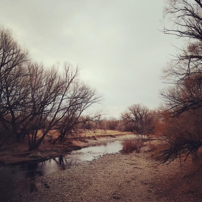 The Poudre River this morning (image by Jill Salahub)