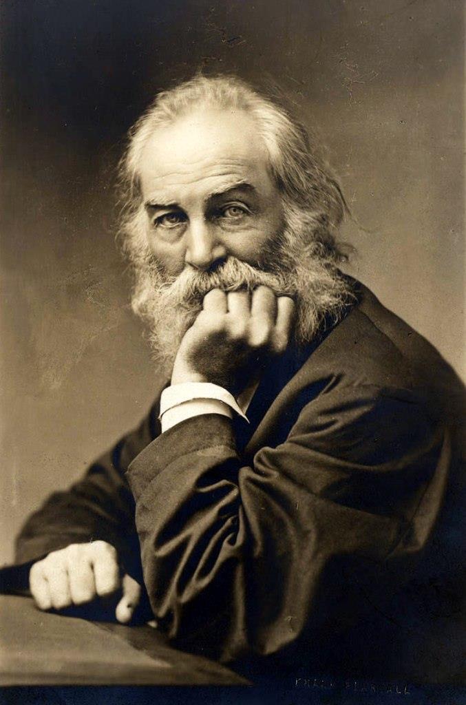 walt whitman and emily dickinson compare and contrast