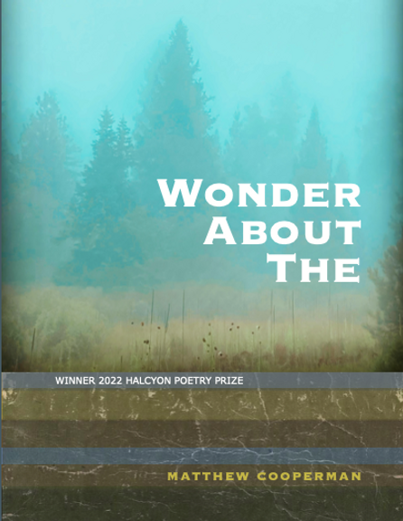 Wonder About The by Matthew Cooperman