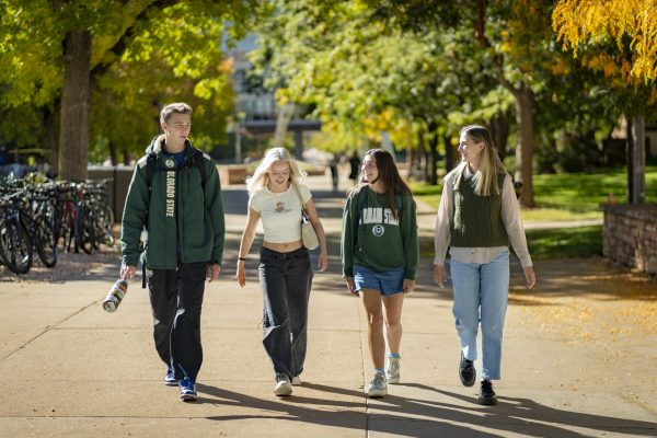 Four students wearing CSU clothing walk across campus