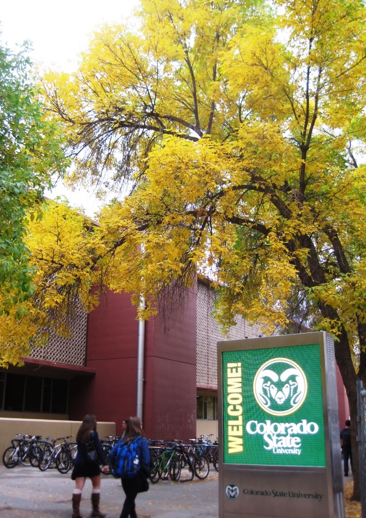 fallclark2014