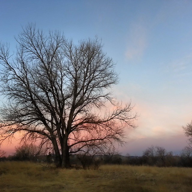 Image by Jill Salahub