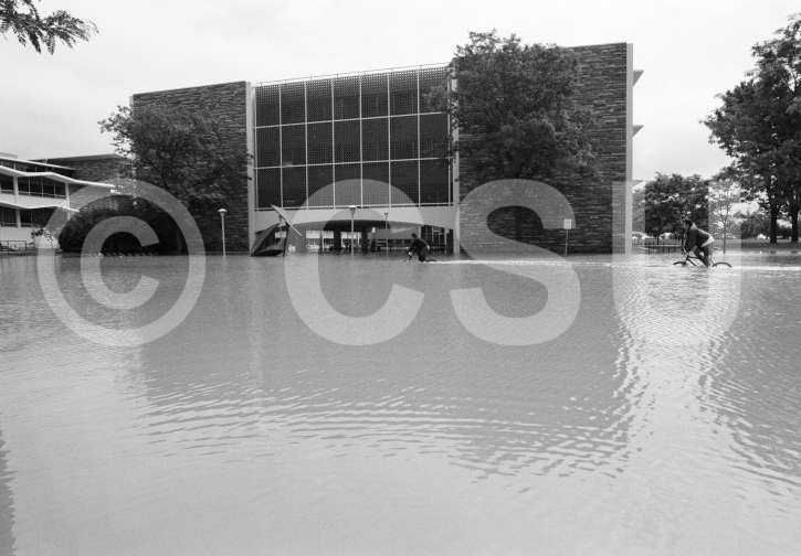 Photo of people riding their bikes past Eddy Hall during the CSU flood of 1997 on July 29, 1997. Photo courtesy of CSU Photography, Department of Creative Services.