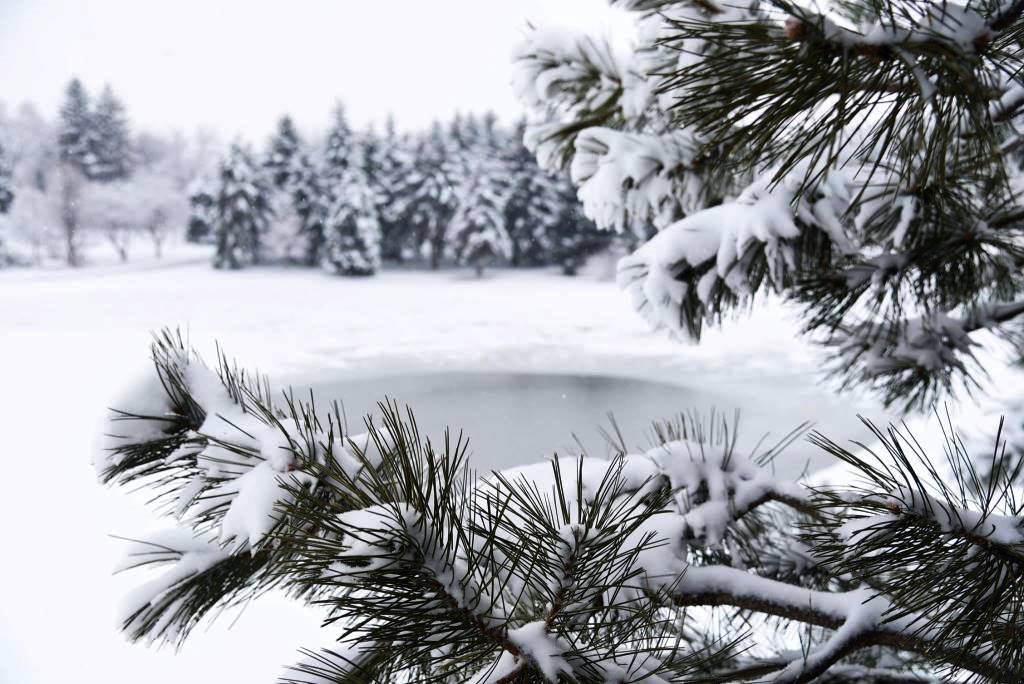CSU lagoon, image by Colorado State University