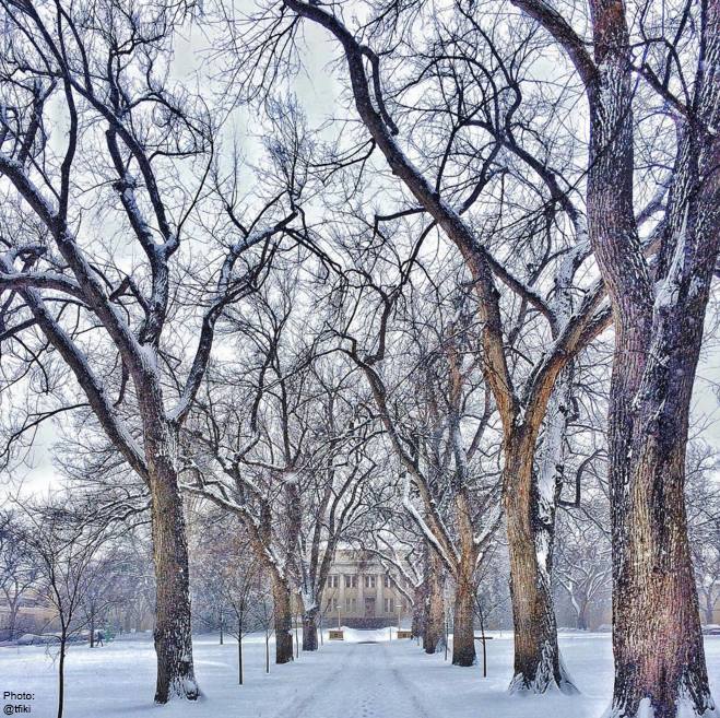 snOval, image by Colorado State University