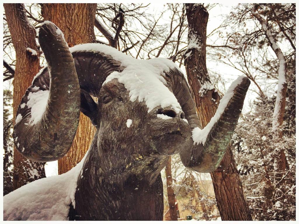 Image by Colorado State University