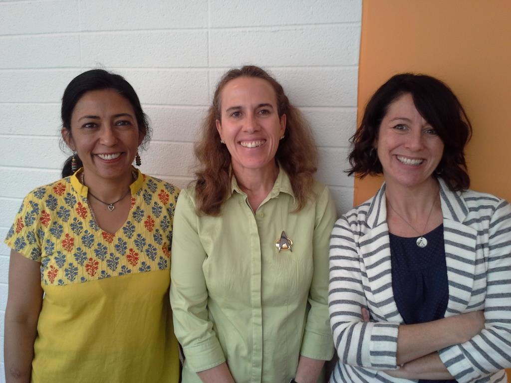 Aparna Gollapudi, Pam Coke, and Roze Hentschell