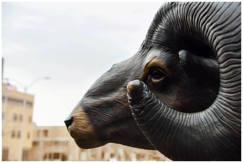 Image by Colorado State University