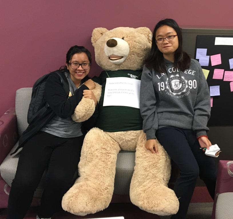 We want to win this bear!