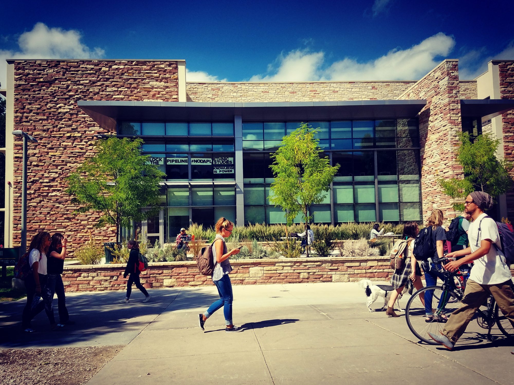 The trees in front of Eddy Hall are starting to get a few golden leaves. Fall is on its way! #greenandgoldforever