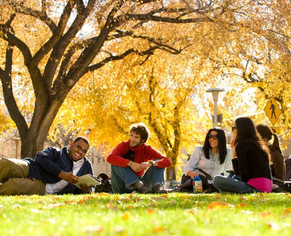 Image by Colorado State University