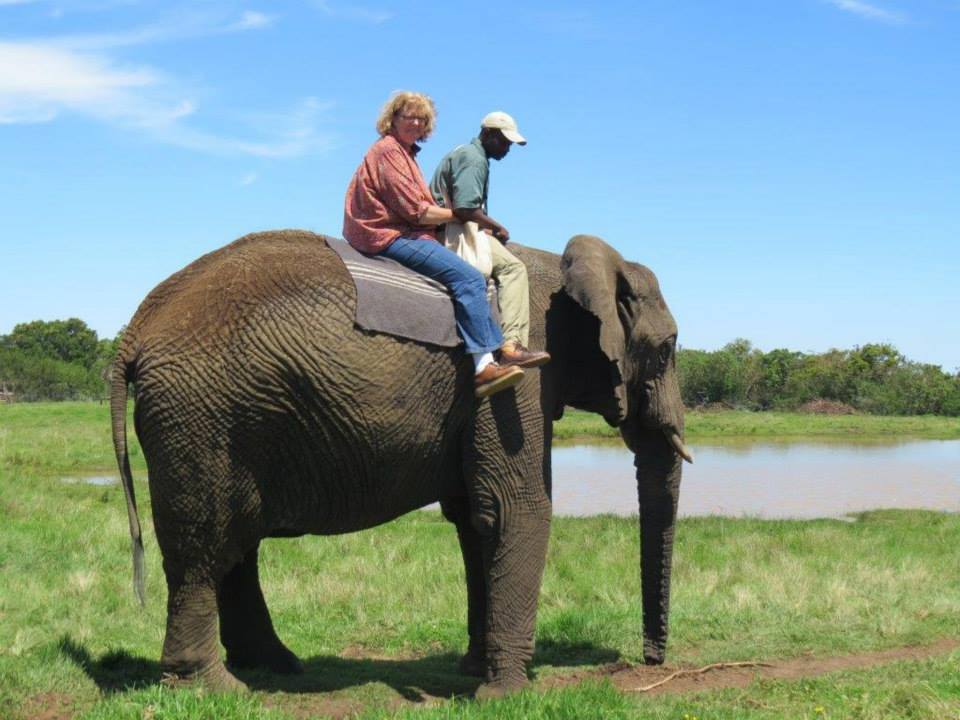 sarahonanelephant