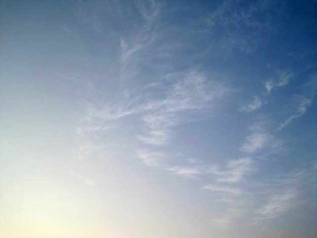 skyfeathers