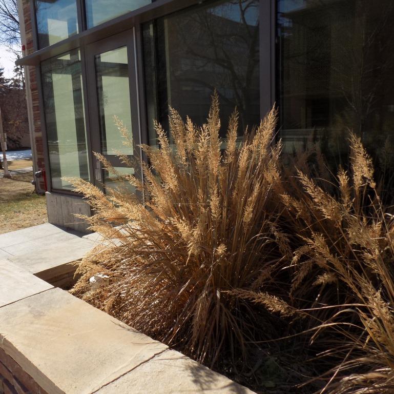 eddyfrontpatio
