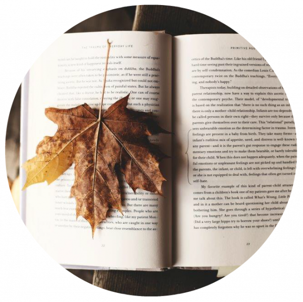 Image of leaf on a book