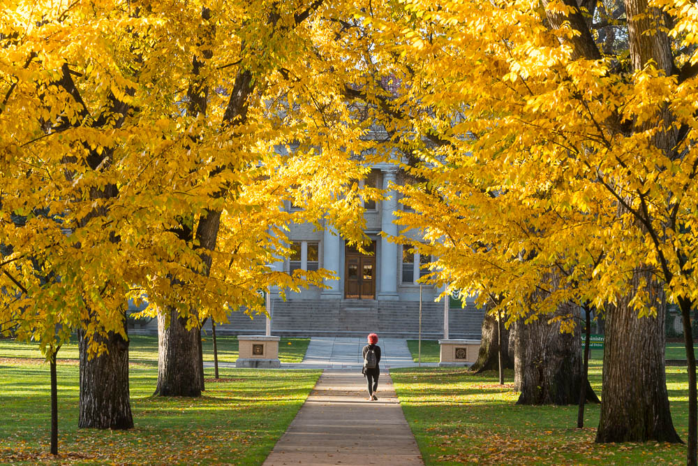 Student walks through oval in Fall