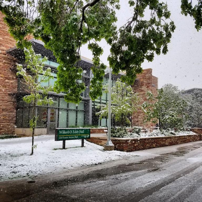 Eddy hall in the snow