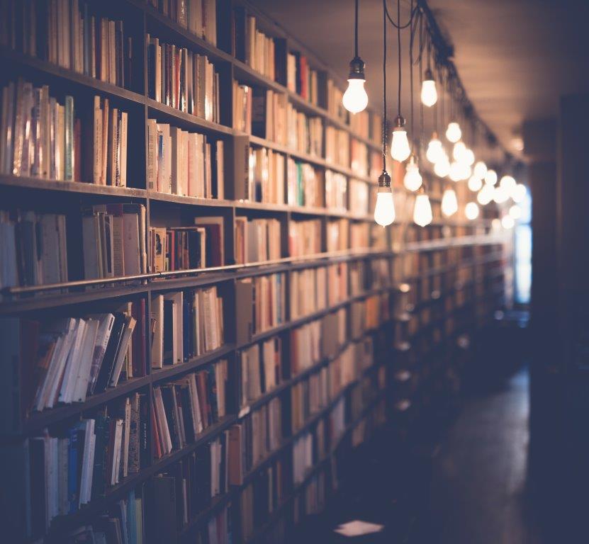 Bookshelves in a bookshop in Paris