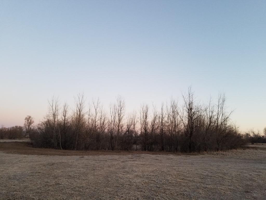 Morning sky over Soft Gold Park