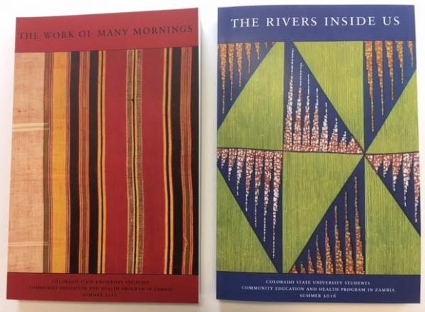 Covers of two past essay collections