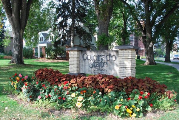 CSU sign