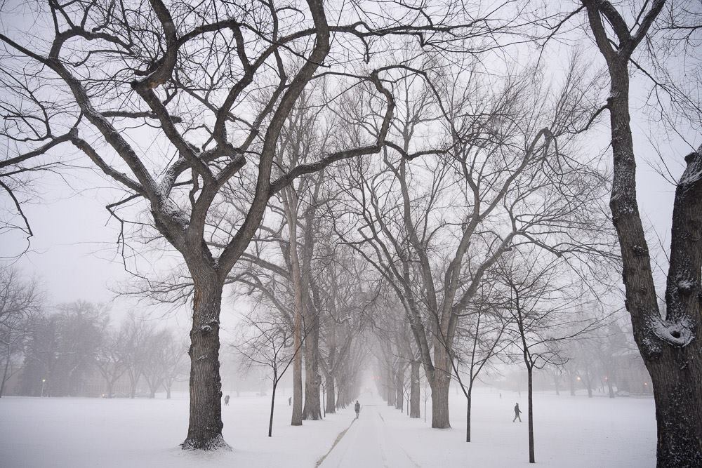 Snow on the Oval