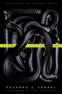Slow Lightening Book Cover