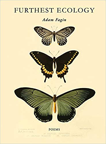 National Poetry Month: New Poetry from the Mountain West Poetry Series