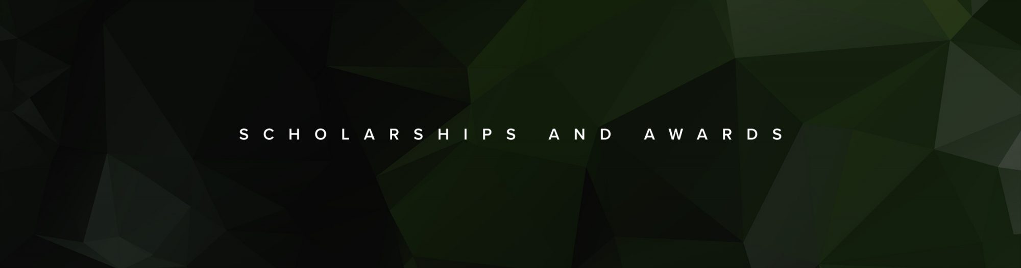 scholarships and awards banner
