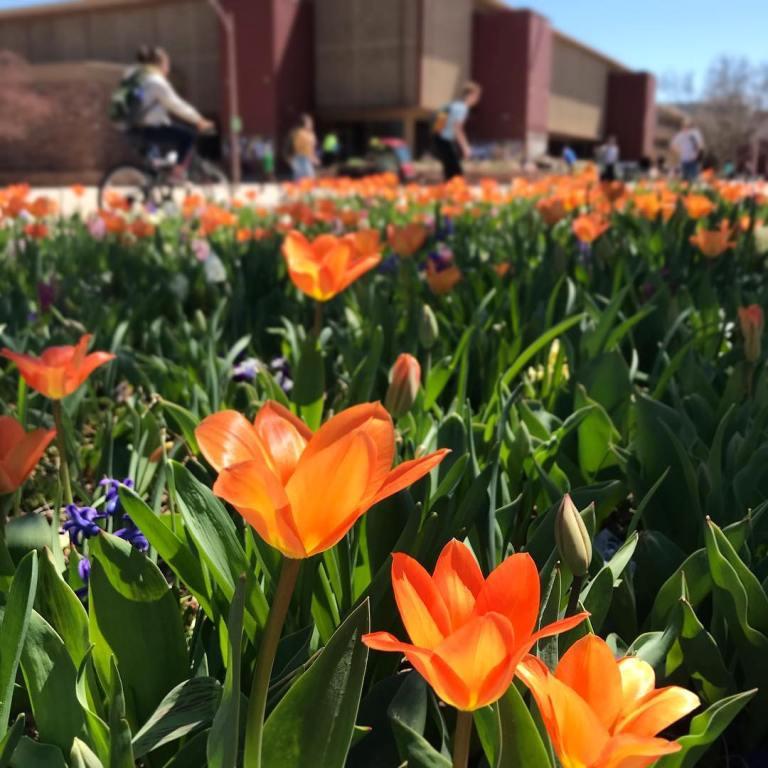 News of Note: March and April