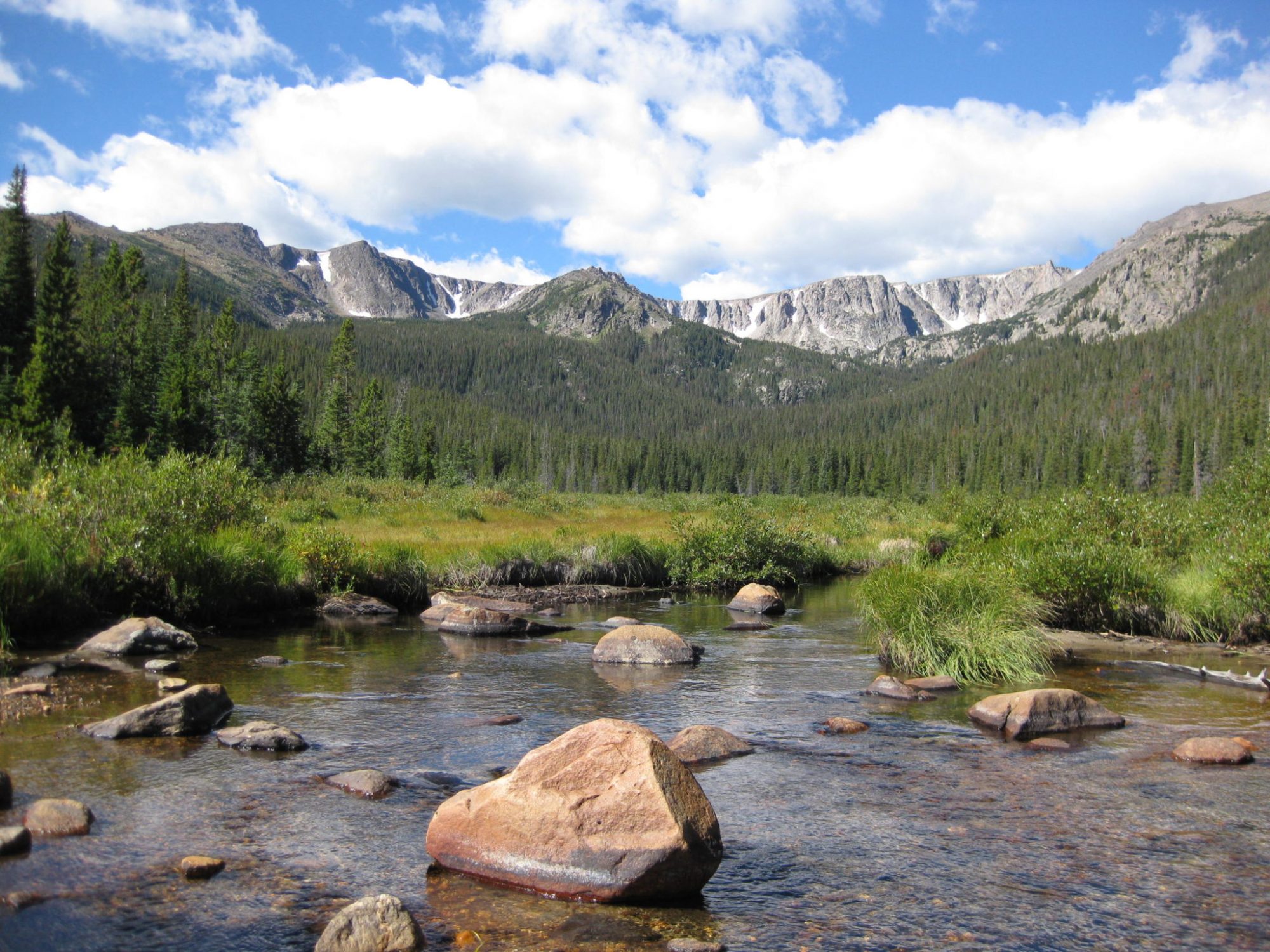Environmental Humanities and Summer Session: Explore the world at 9,000 feet, where the mountains are your classroom