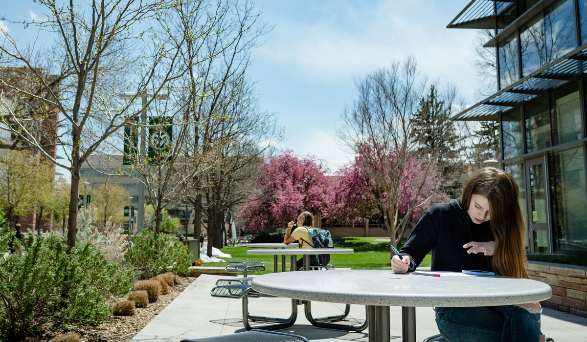 Centering Student Choices: Why Linguistic Justice is a Pivotal and Empowering Pedagogical Framework