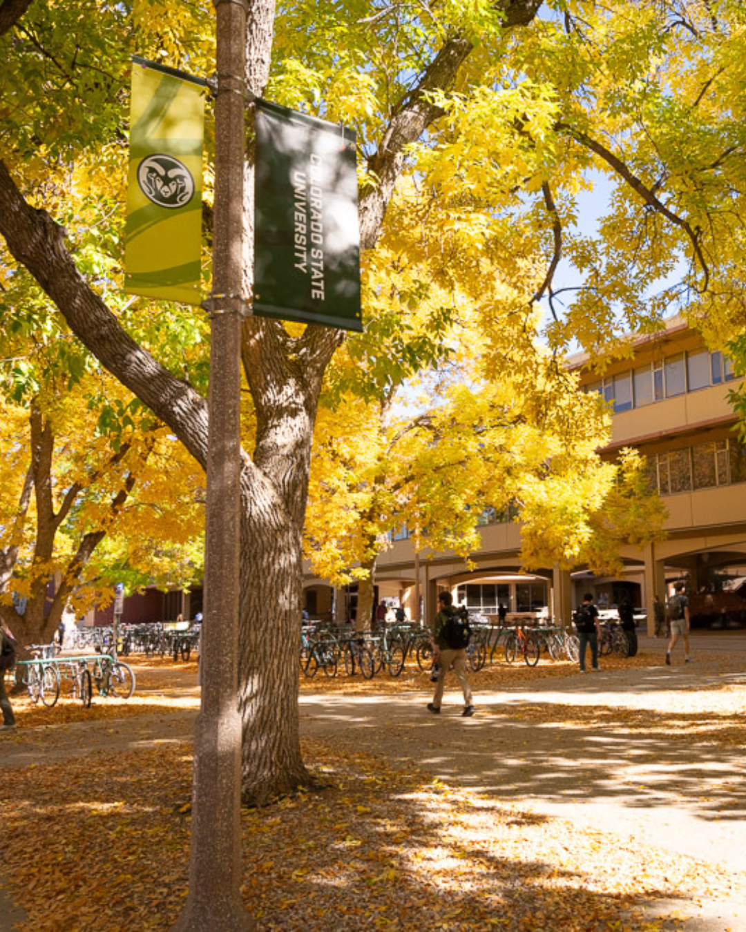 Remaining fall schedule for Creative Writing Reading Series hosts English faculty, visiting writers and MFA students