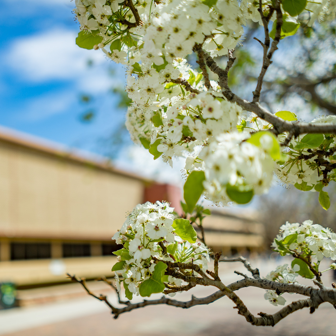 Creative Writing Reading Series presents spring 2024 literary lineup
