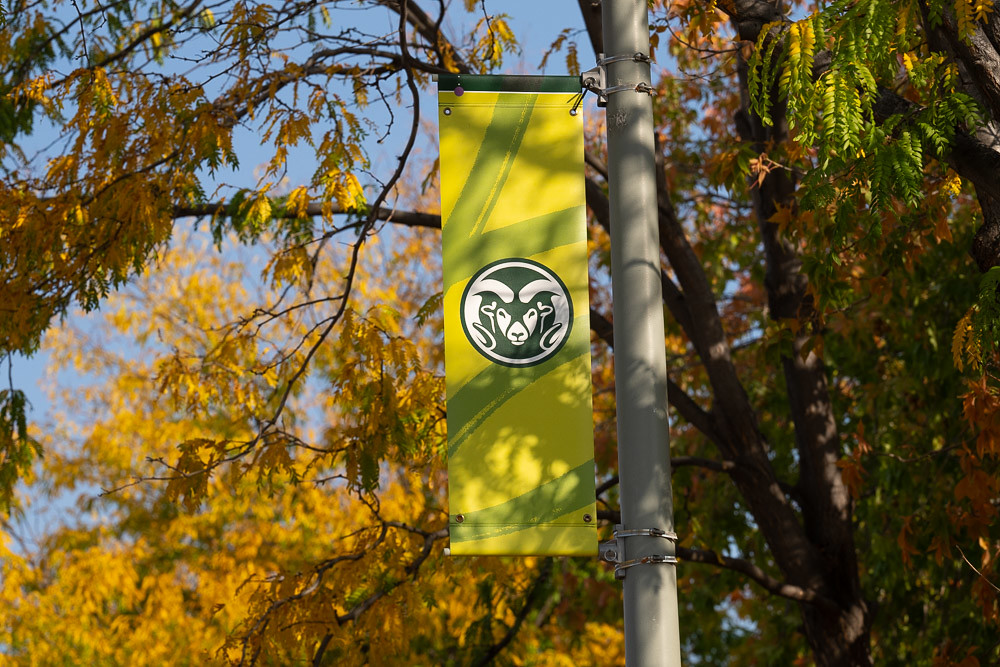 Picture of the CSU ram's head logo on a vertical banner on campus during fall