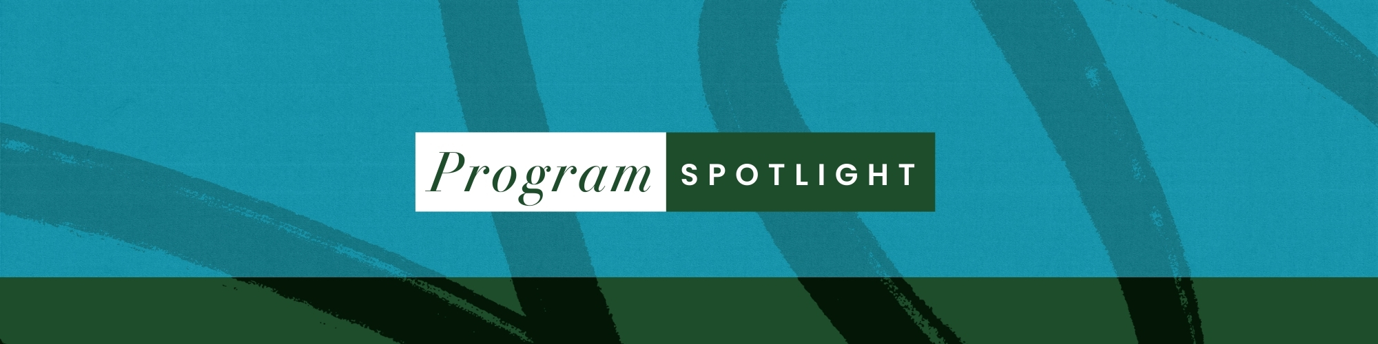 Graphic in blue and green design with elevated text that reads Program Spotlight.