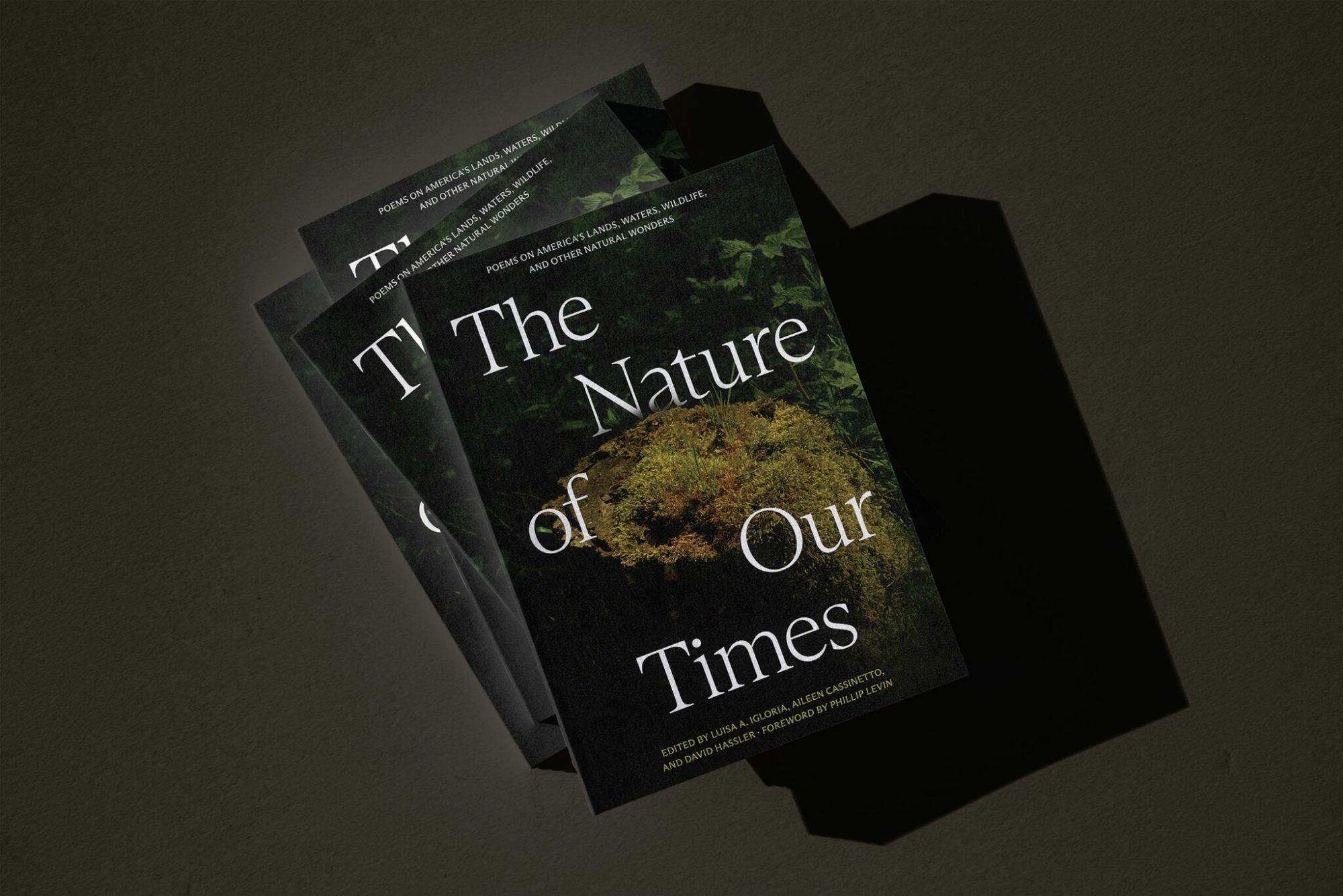 CSU writers featured in ‘The Nature of Our Times’ anthology