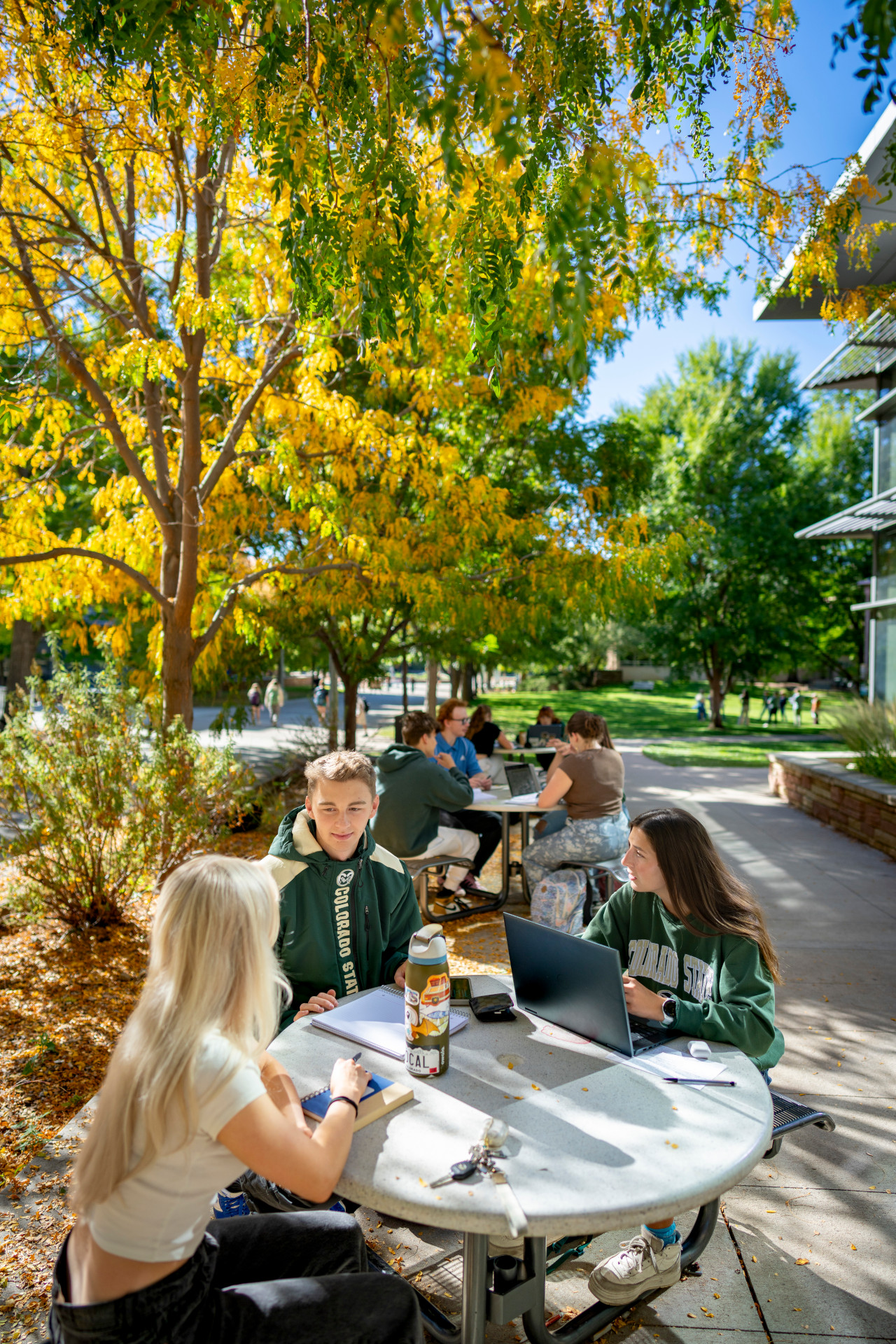 CSU English students gather at tables outside Eddy Hall on a fall day.