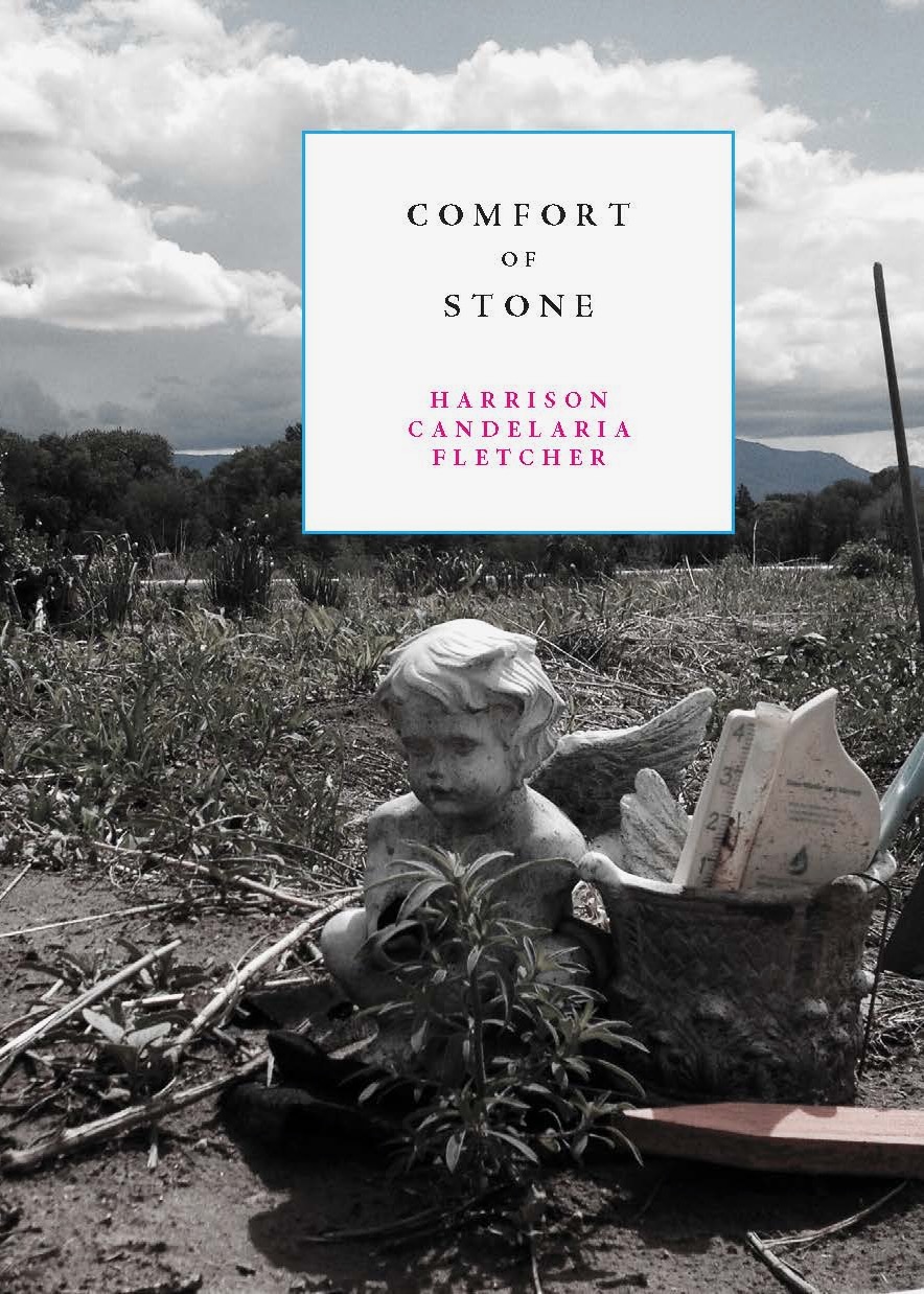 Book cover of 'Comfort of Stone' by Harrison Candelaria Fletcher.